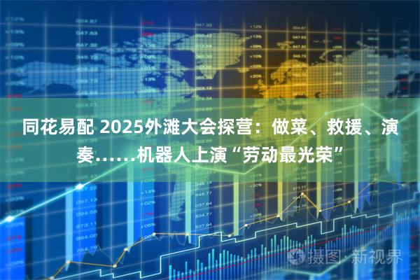 同花易配 2025外滩大会探营：做菜、救援、演奏……机器人上演“劳动最光荣”