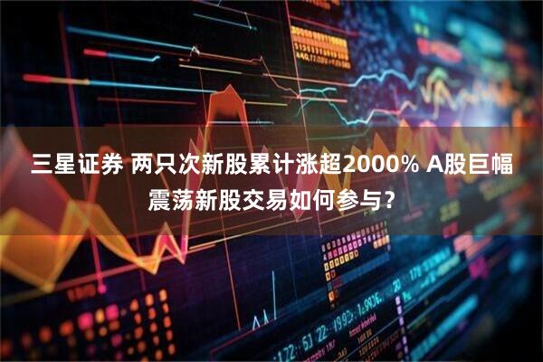 三星证券 两只次新股累计涨超2000% A股巨幅震荡新股交易如何参与？