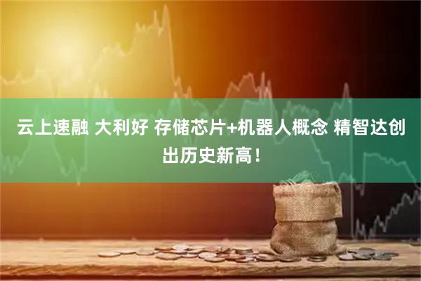 云上速融 大利好 存储芯片+机器人概念 精智达创出历史新高！